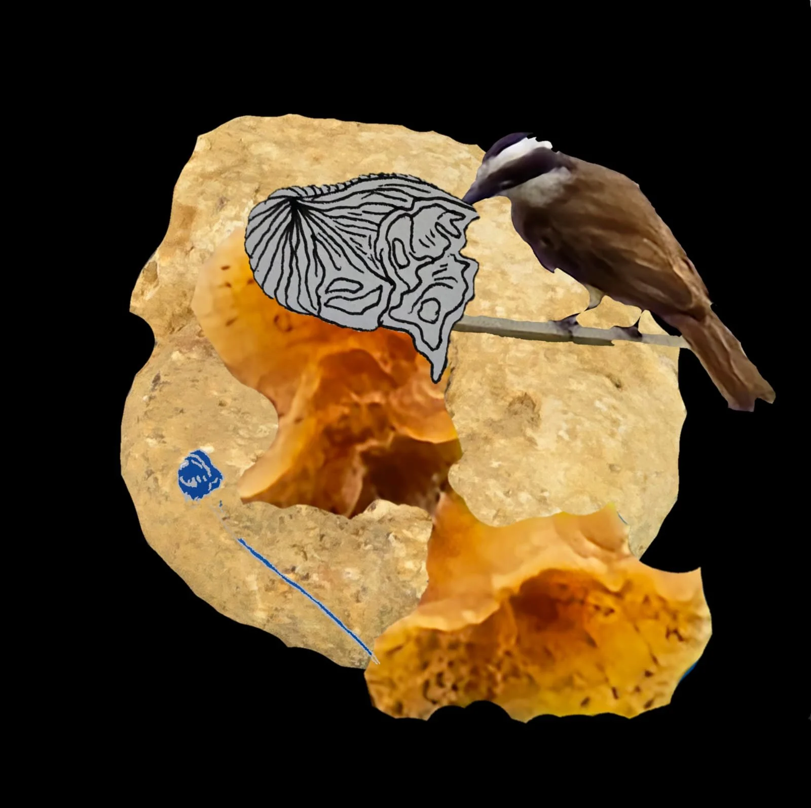 WhatsApp Image 2026-02-21 at 15.16.43 (1).jpeg