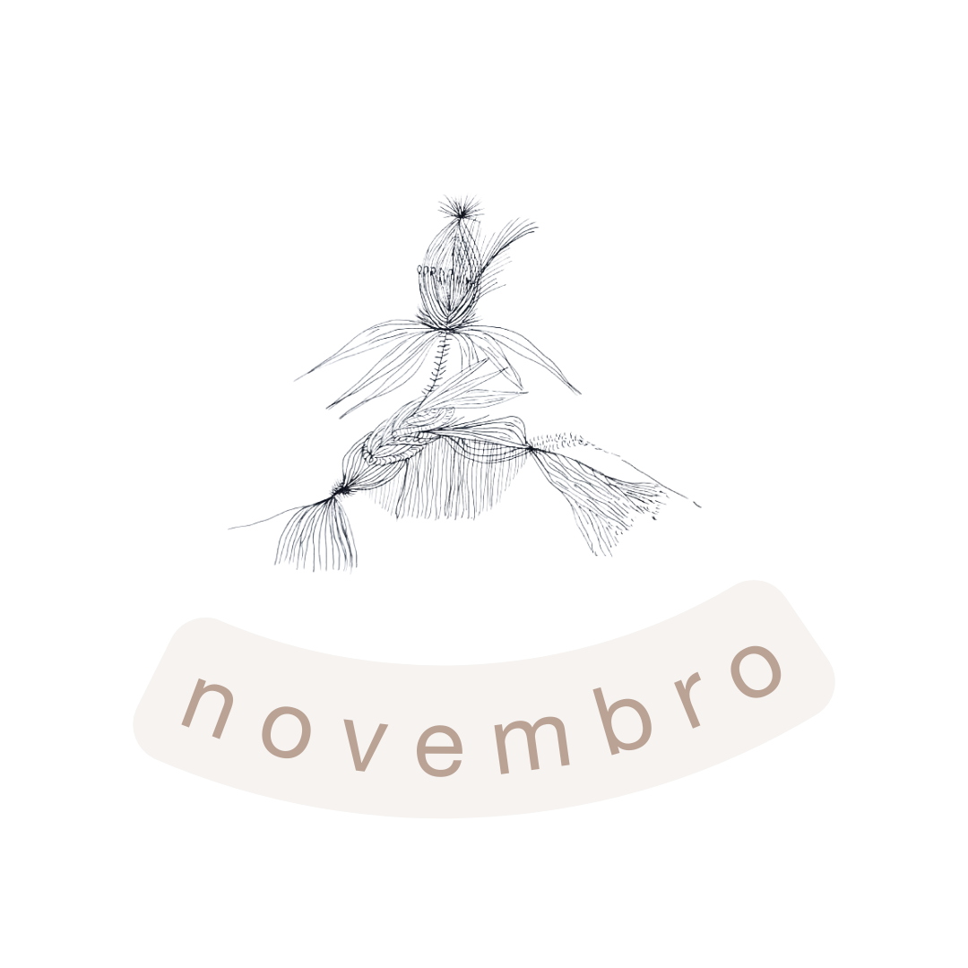 novembro
