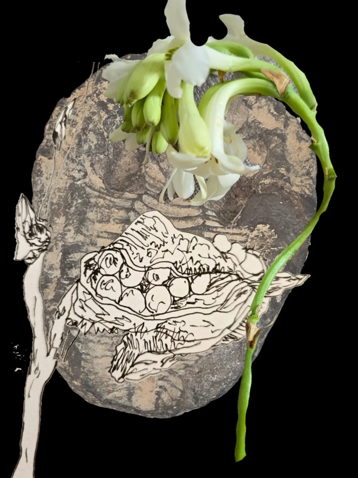 WhatsApp Image 2026-02-21 at 15.16.43.jpeg