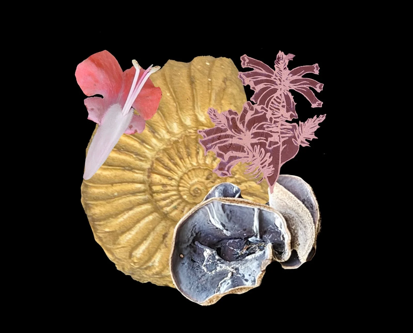 WhatsApp Image 2026-02-21 at 15.16.43 (2).jpeg