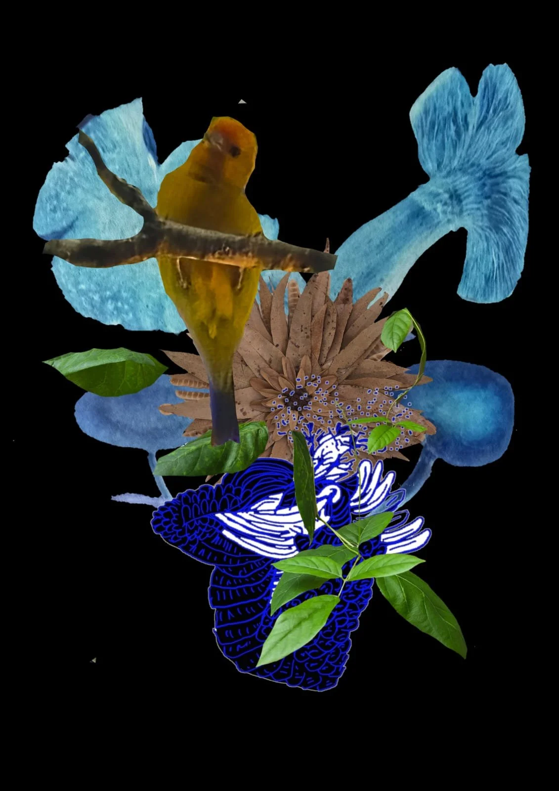 WhatsApp Image 2026-02-21 at 15.16.44 (1).jpeg