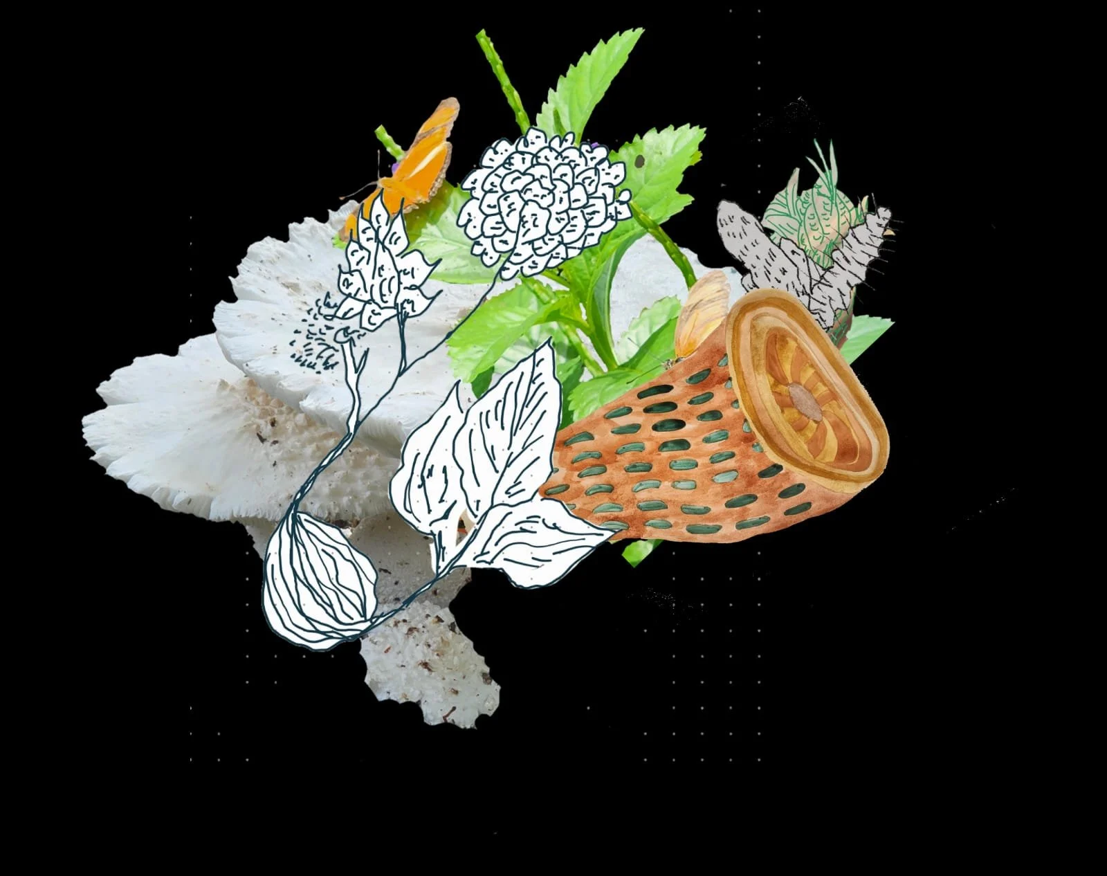 WhatsApp Image 2026-02-21 at 15.16.44 (2).jpeg