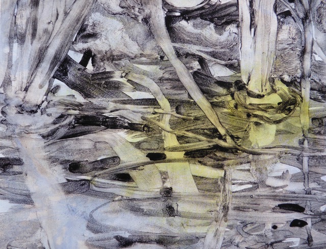 Study of Pond Reflections sold