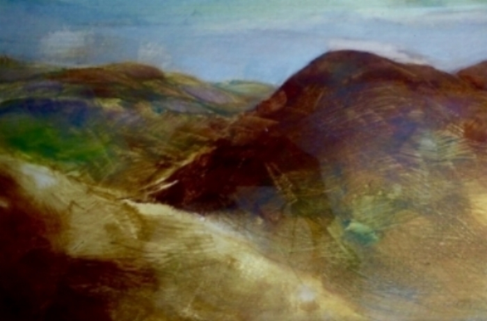 Brown Moor, Dry Grass