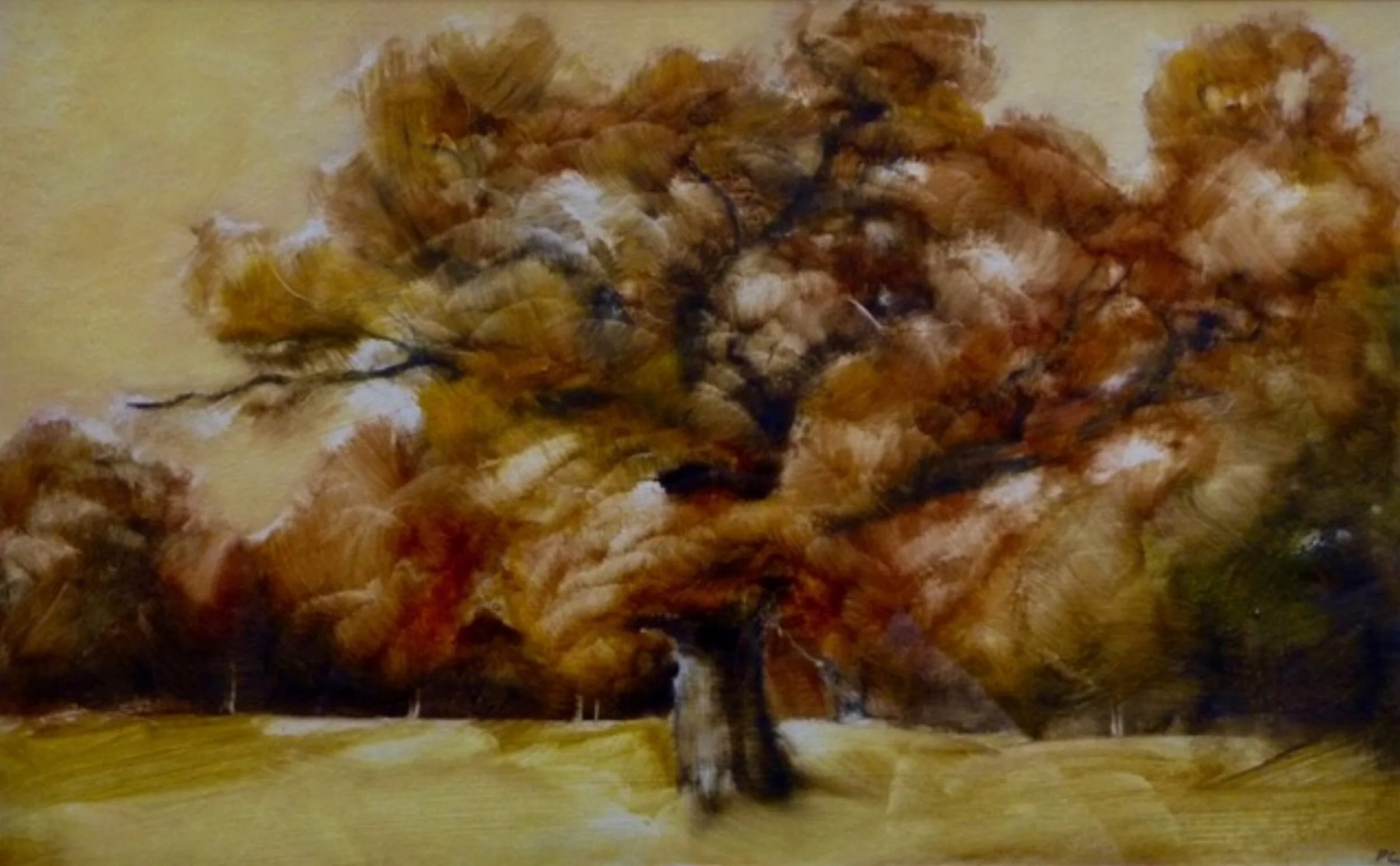 Oak Tree, Hampstead Heath oil and graphite on board 38 x 25 cm sold