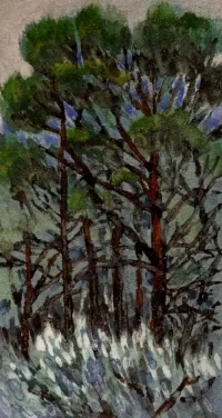 Pine Trees watercolour on paper 13 x 7 cm £175