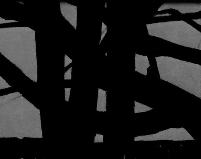 Edwina's Trees graphite on paper 12 x 8cm sold
