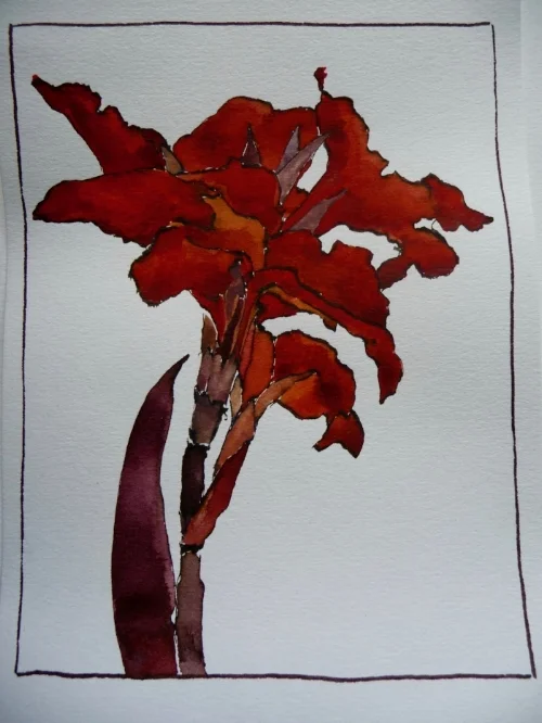 Indian Lilies sold