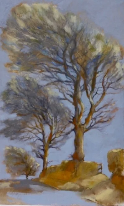 Three Beeches graphite and oil on board sold