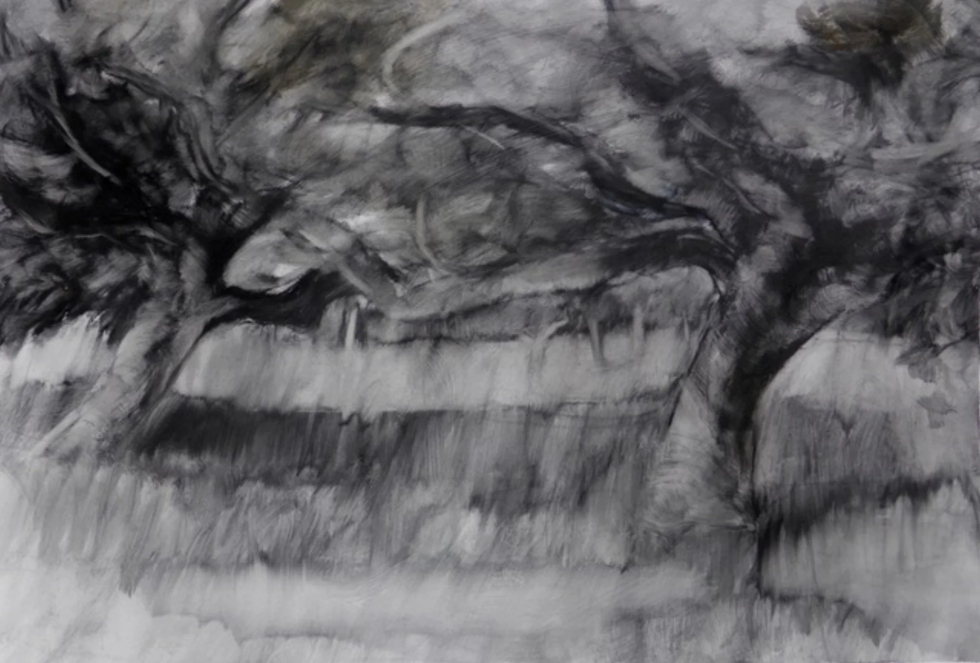 Two Cherry Trees graphite on paper 38 x 25 cm sold