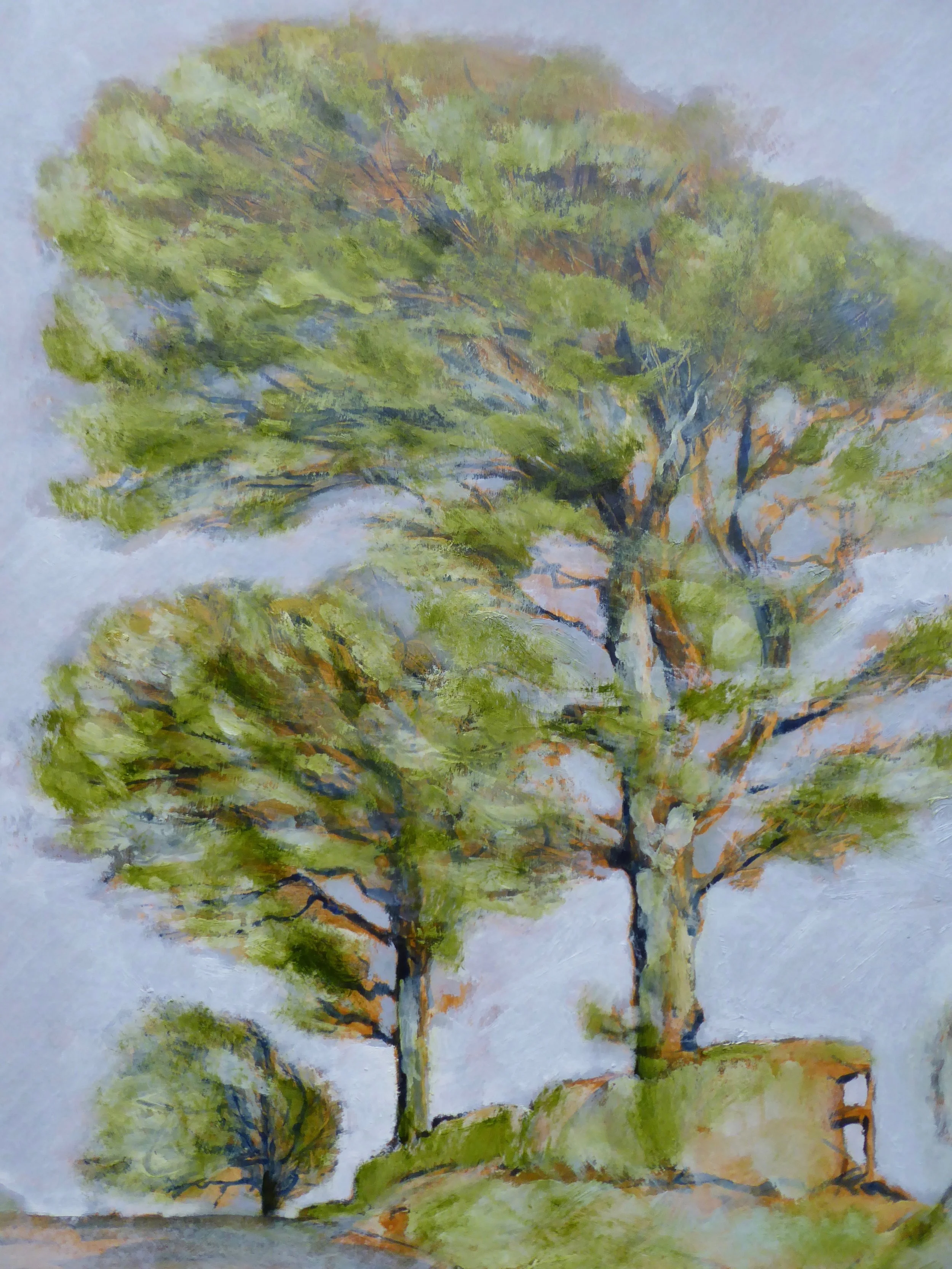 Three Beeches - Spring oil on board 51 x 39 cm £550
