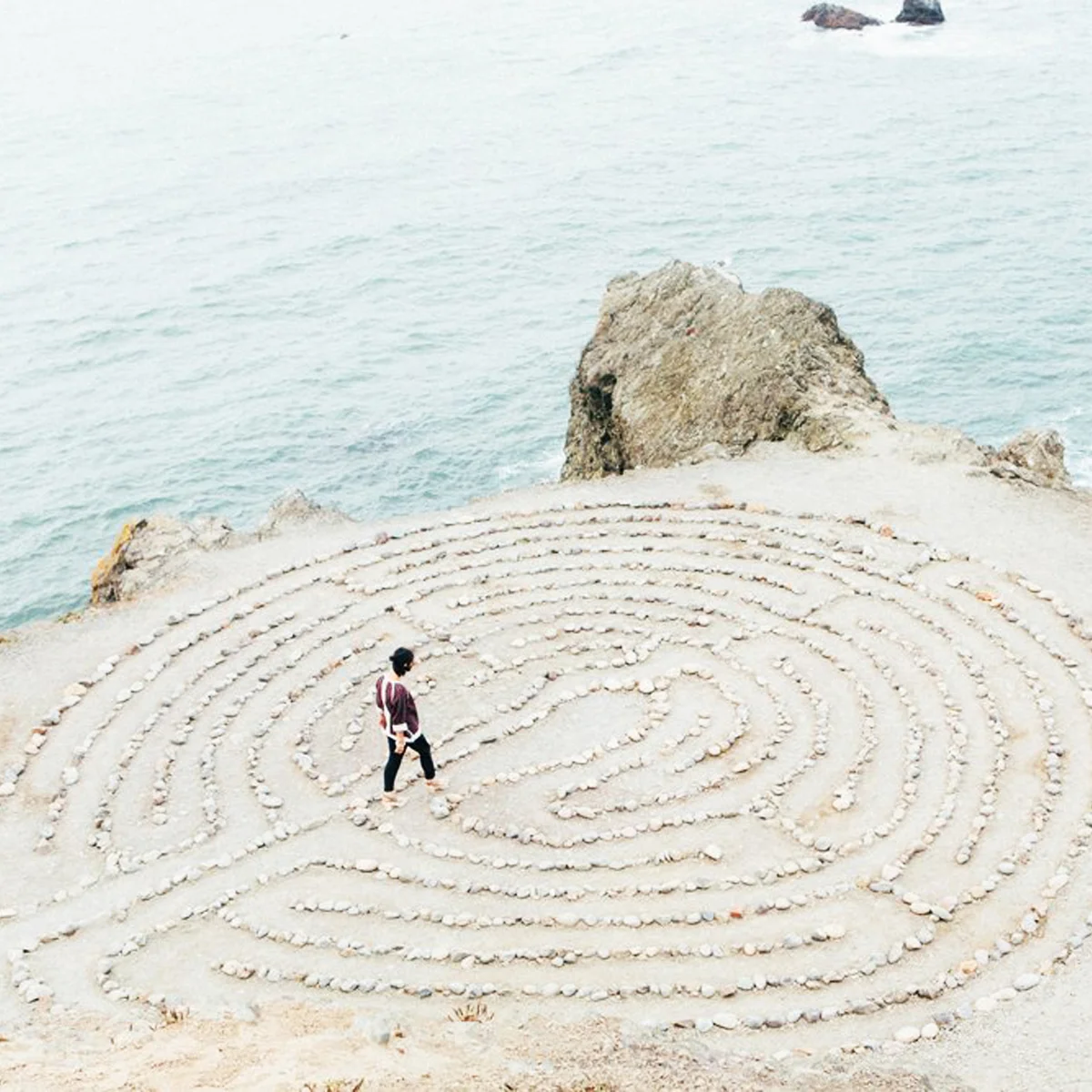 TAMING THE MODERN MONKEY MIND