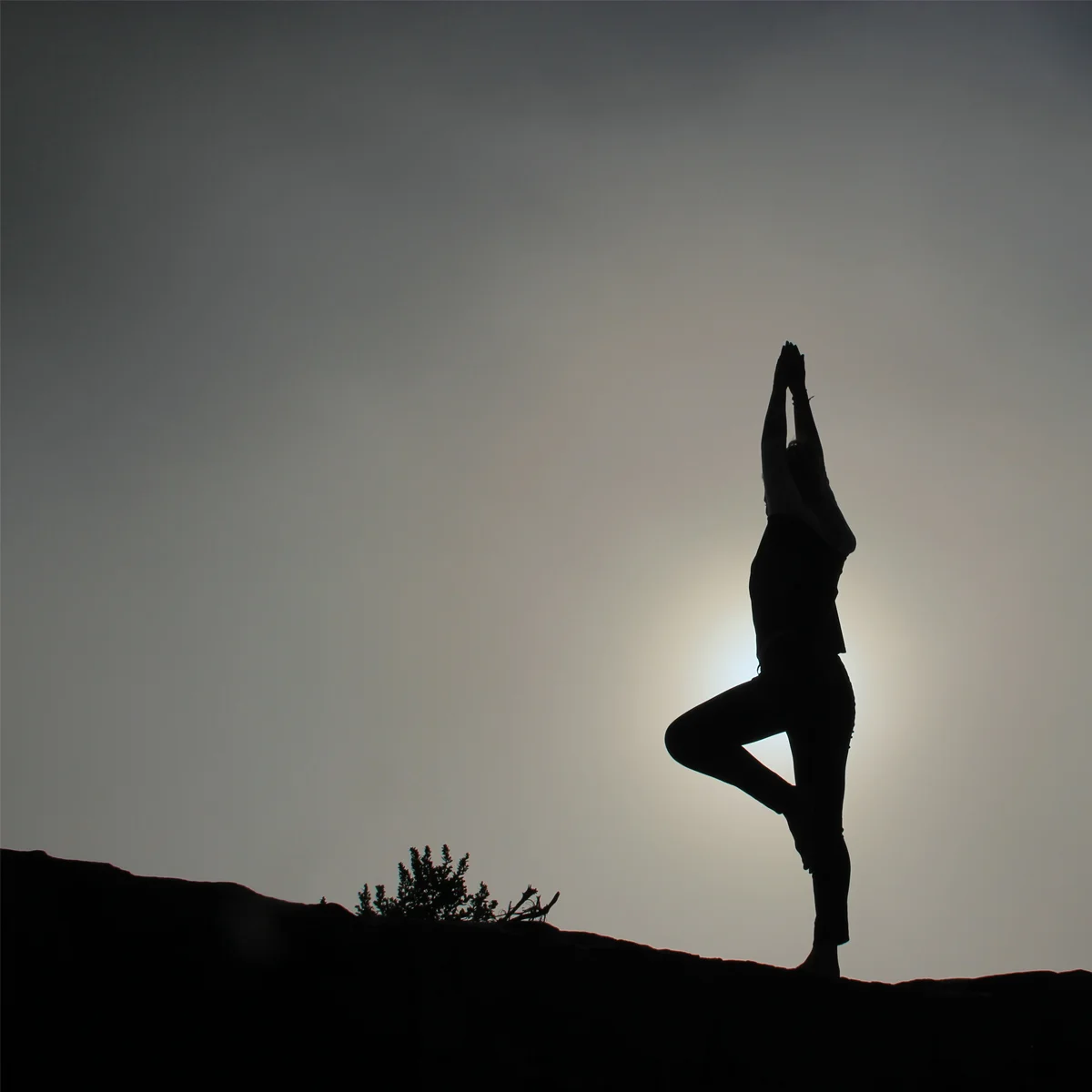 This is Your Brain on Yoga