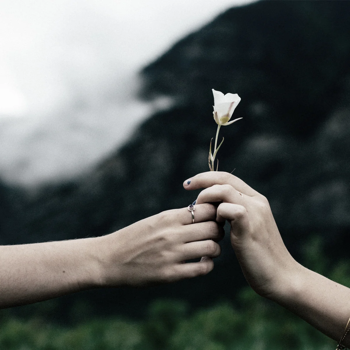 Cultivating Compassion: The Surprising Neuroscience Of Generosity