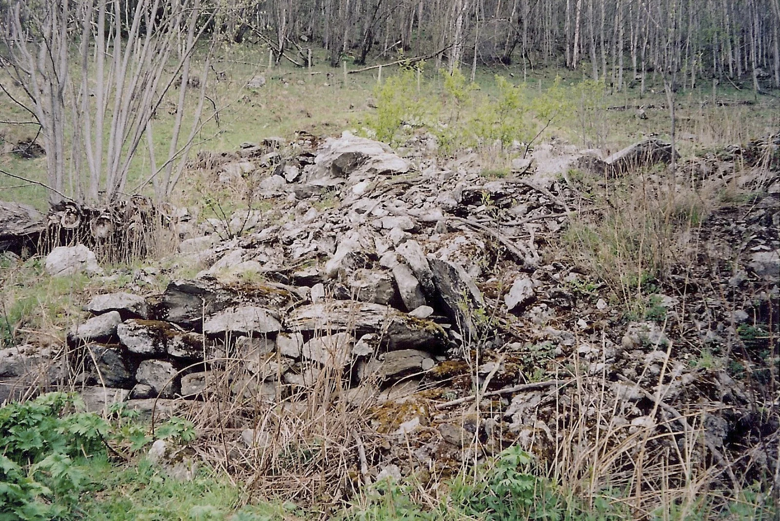 Gausdal Foundation.jpg