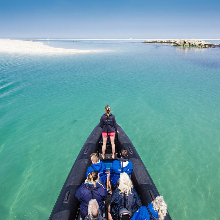 minquiers boat trip