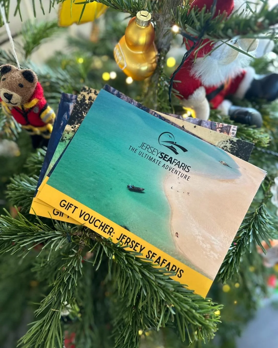 Last few days to grab a Christmas Seafaris voucher with 10% off. Use code:XMAS25 and treat the person in your life that has everything to an adventure 🐬 link ⬇️ 

https://www.jerseyseafaris.com/vouchers
#ribtip #dolphins #channelislands #sea #wildli