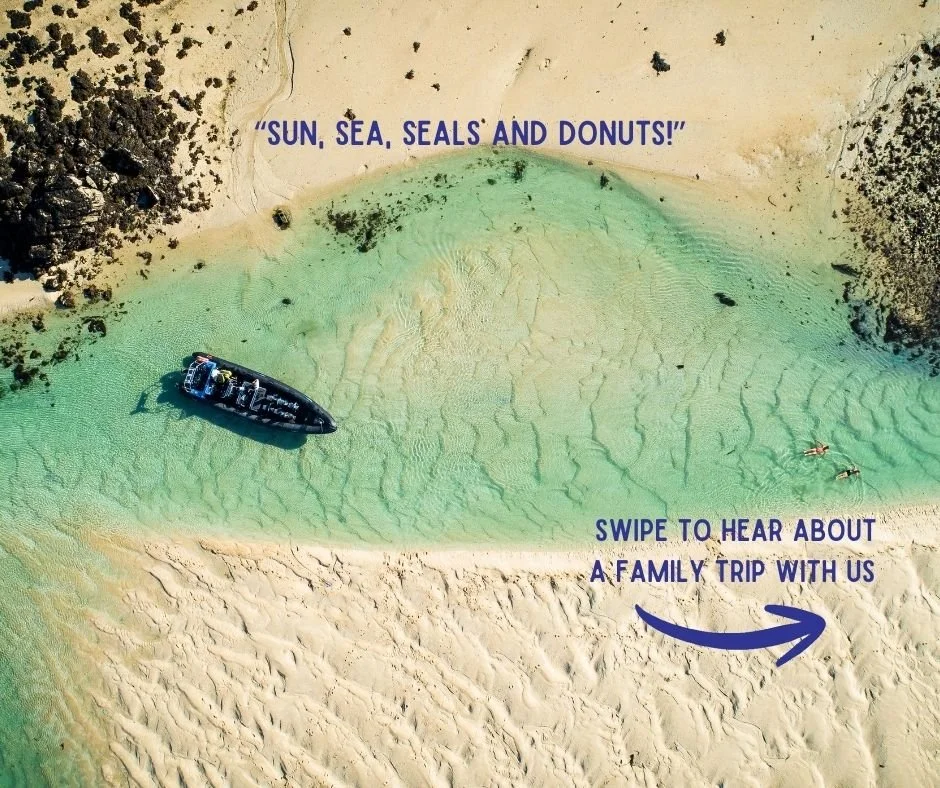 ⭐ ⭐ ⭐ ⭐ ⭐
When families leave us reviews like this, it truly means the world 🙌

A huge thank you to this family of four for taking the time to share their Jersey Seafaris experience on TripAdvisor.