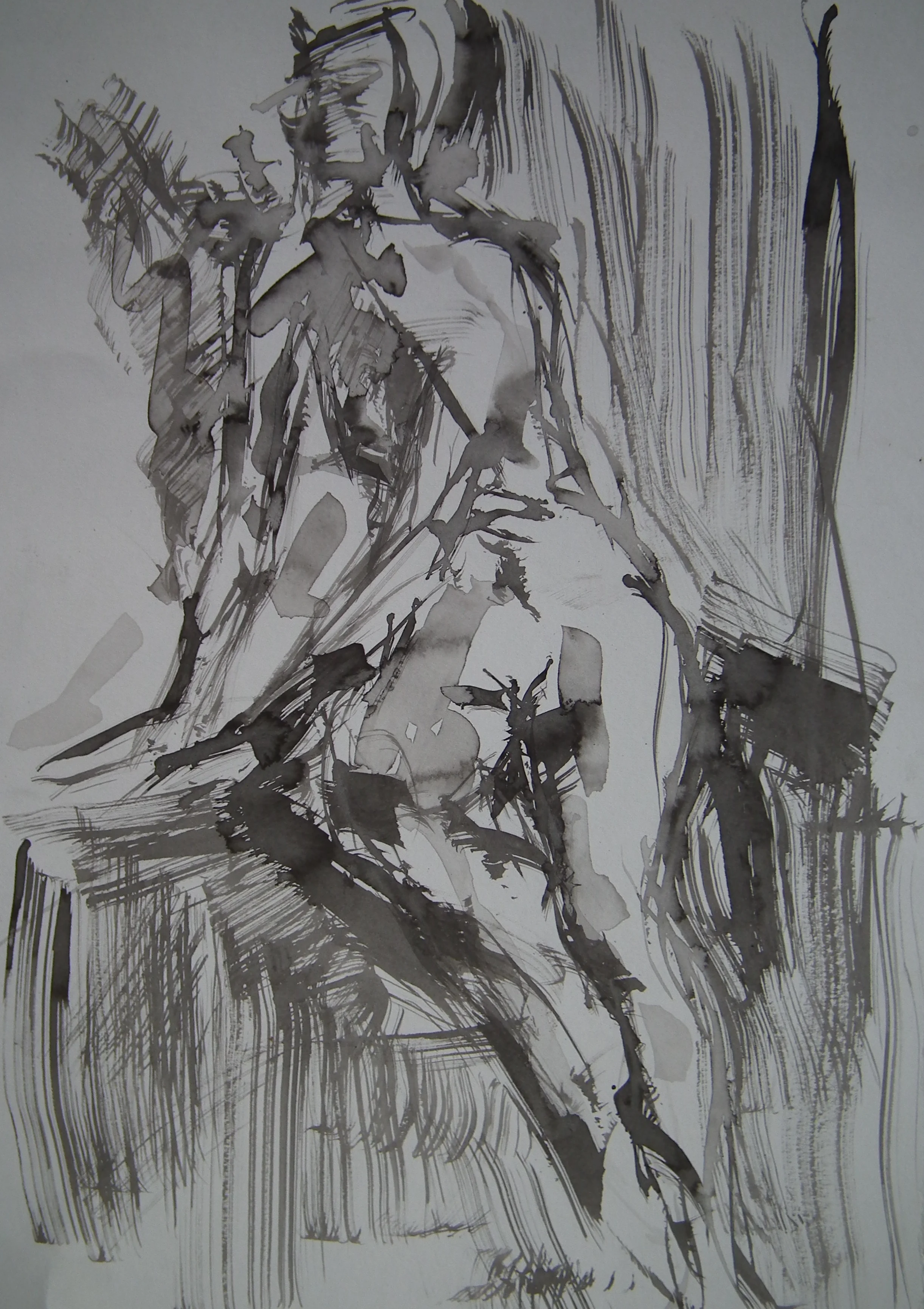 DSCF0781.jpg