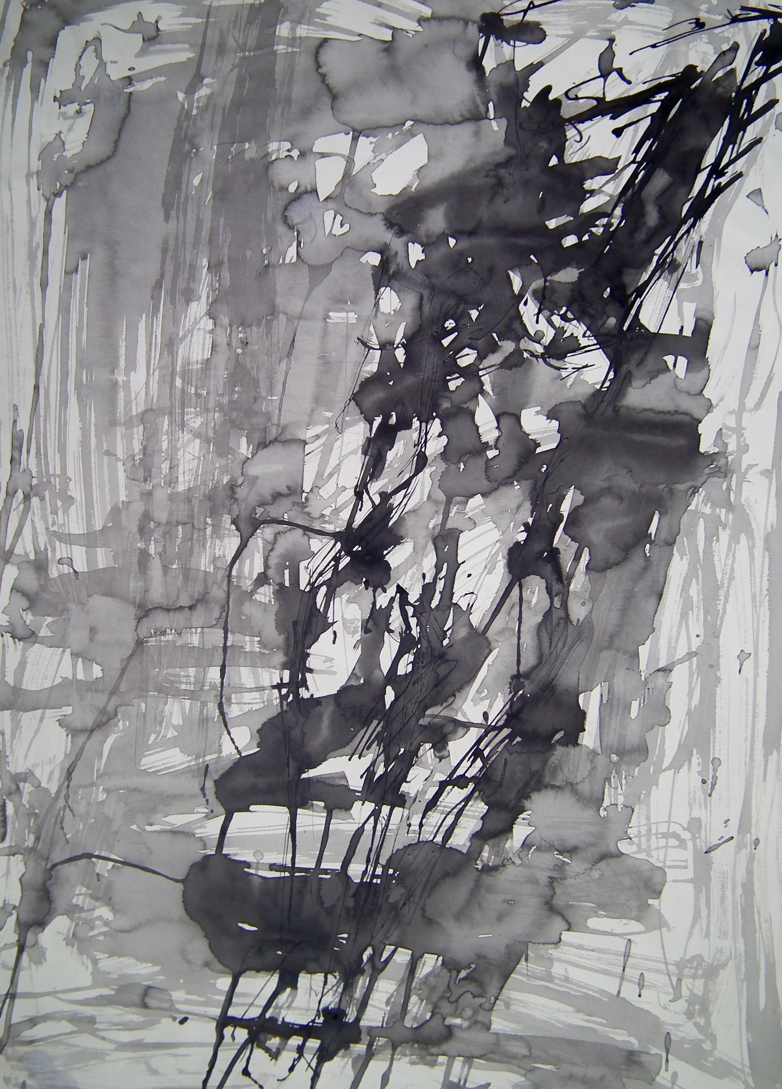 DSCF0829.jpg