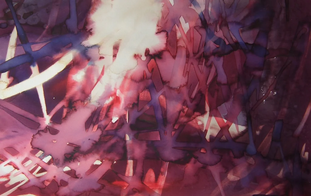 Rhodophyta  III Ink and Bleach on Paper 2017.jpg