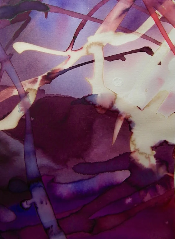 Rhodophyta  IV Ink and Bleach on Paper 2017.jpg