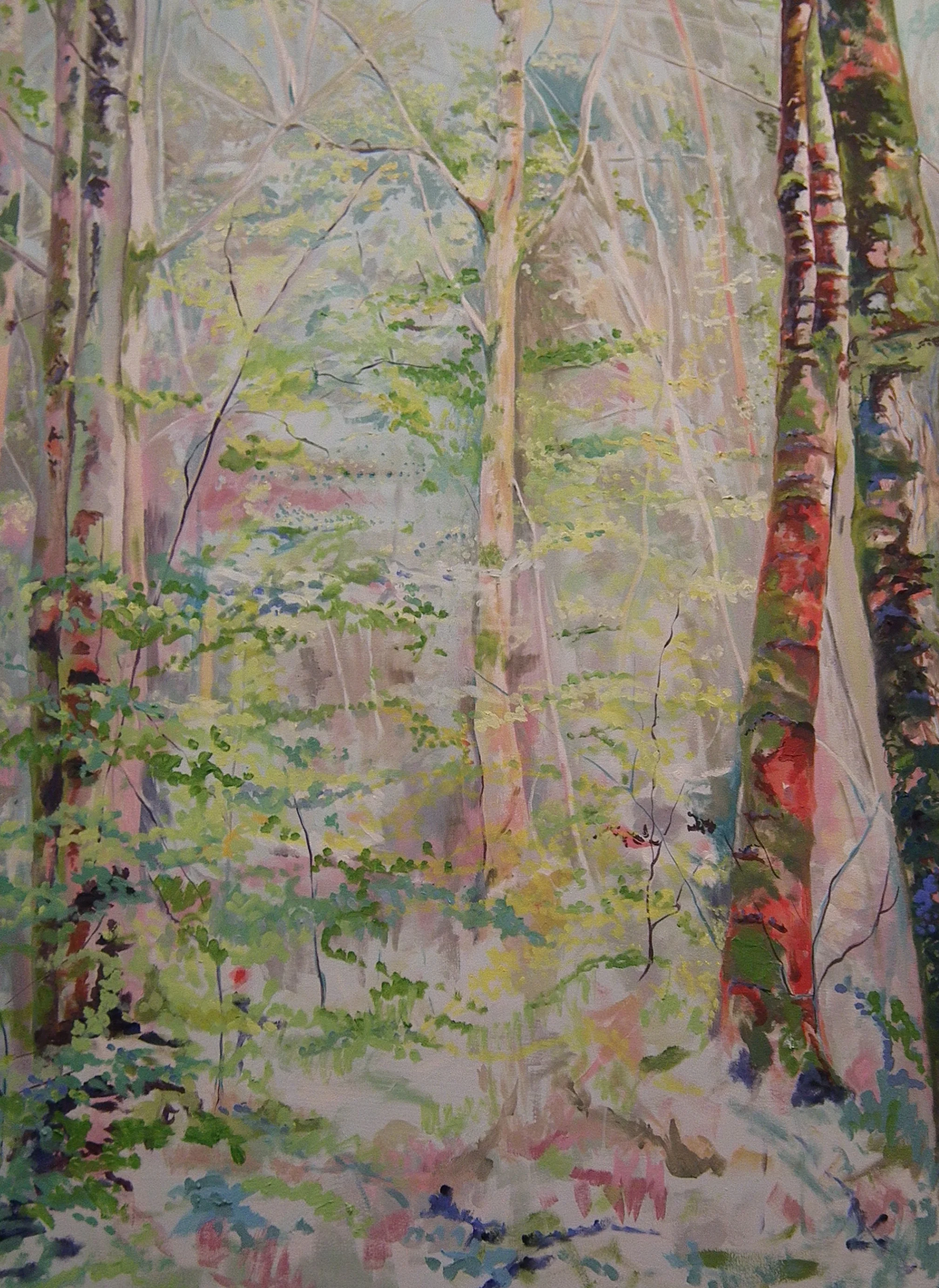 Silver Birch Glade  - Oil on Canvas £1200