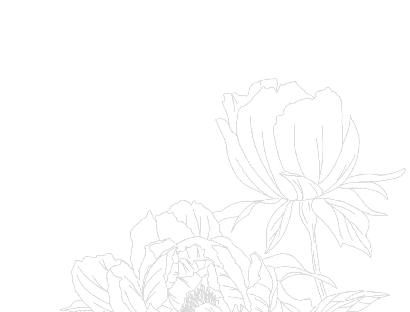 04-brand bio background.jpg
