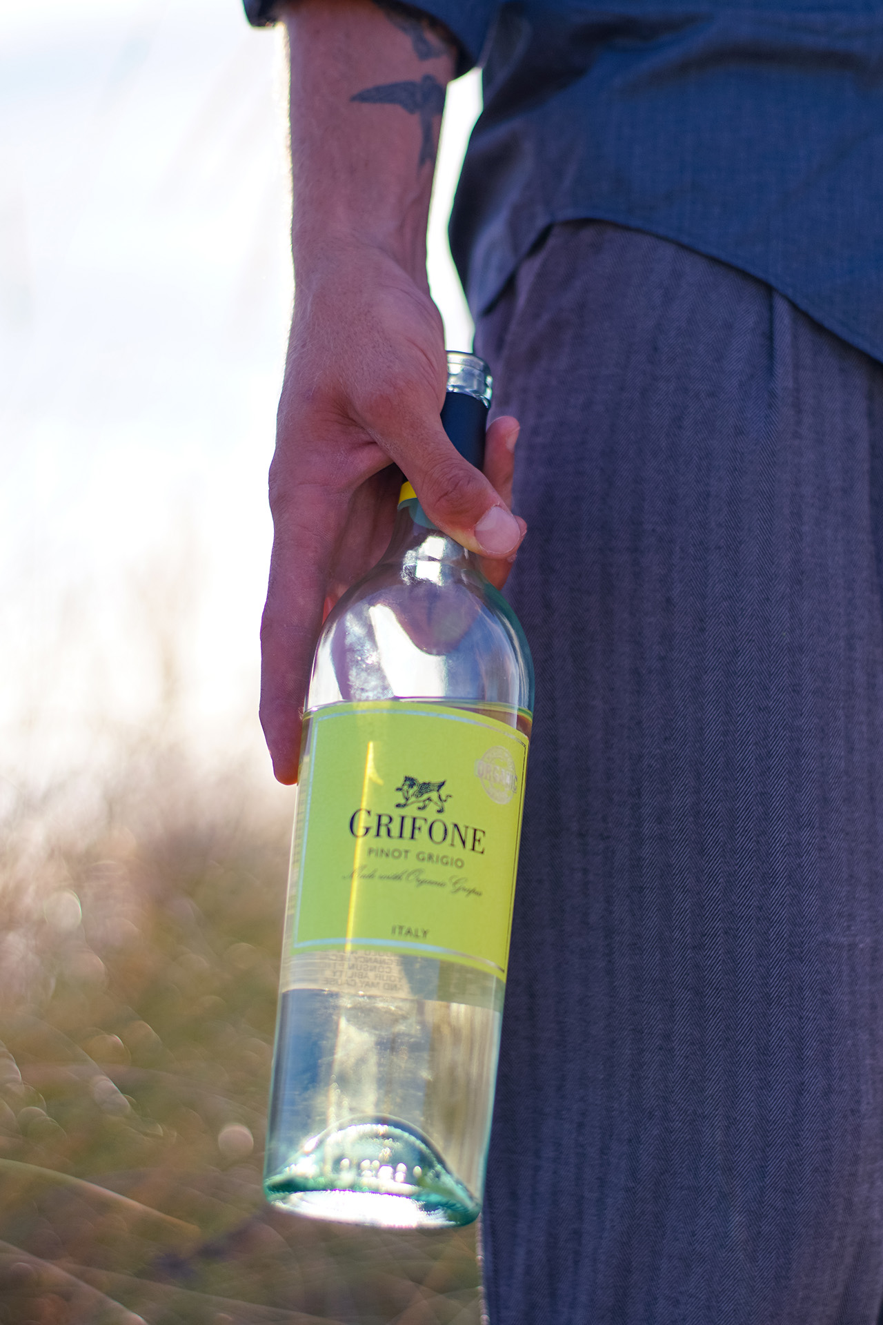 casual shirt and white wine Pinot Grigio #grifonewine