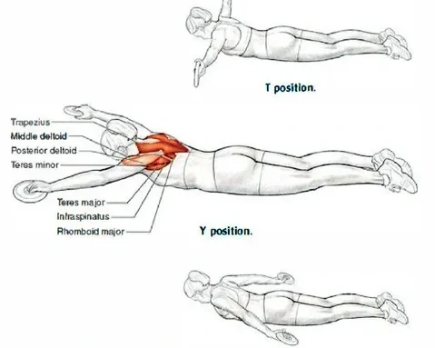 Joint Mobility, Yoga Workshop, Arm Balances, Backbends, Shoulder Rotation, Joint Conditioning