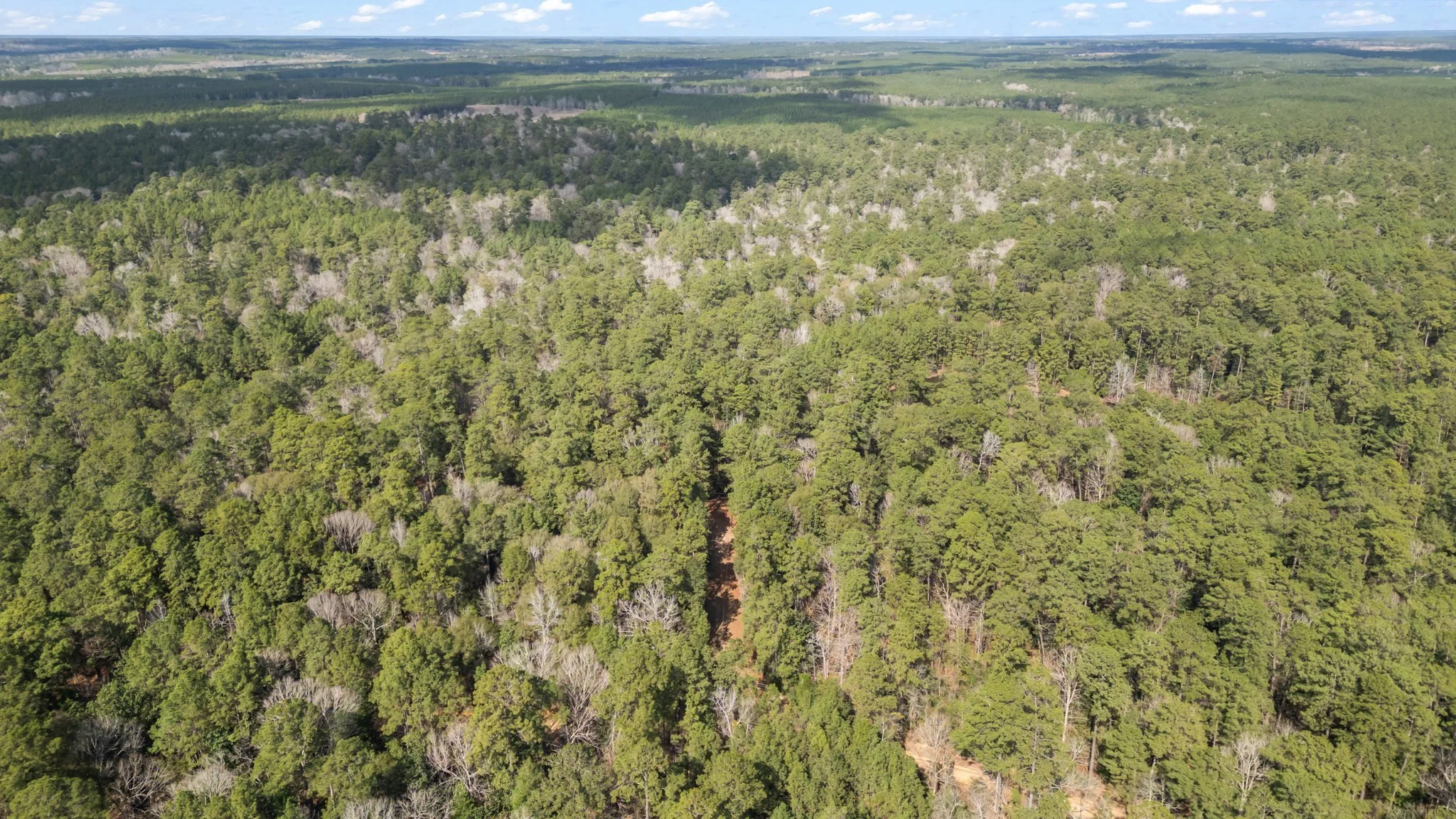 6-web-or-mls-DJI_0601.jpg