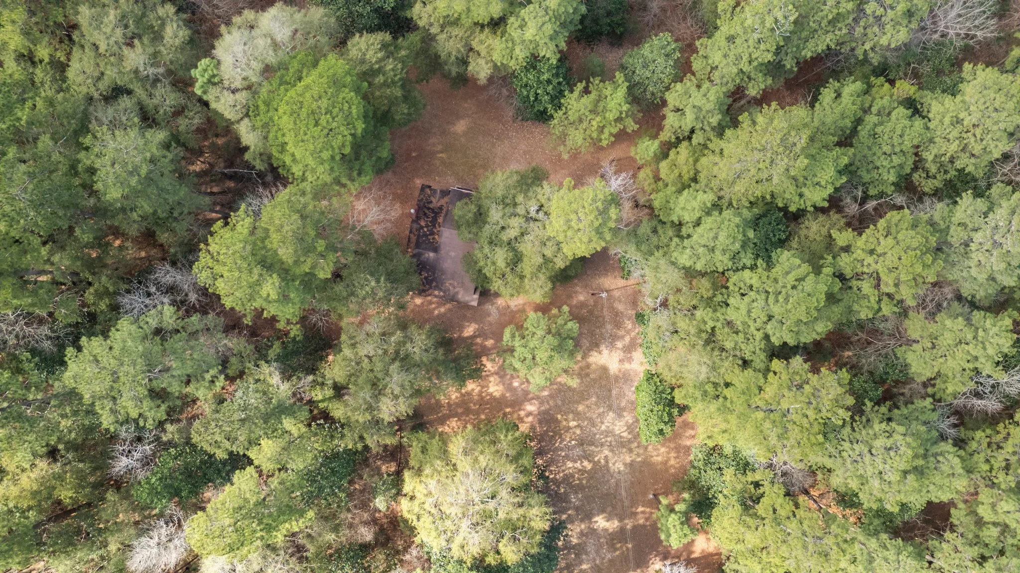 8-web-or-mls-DJI_0629.jpg