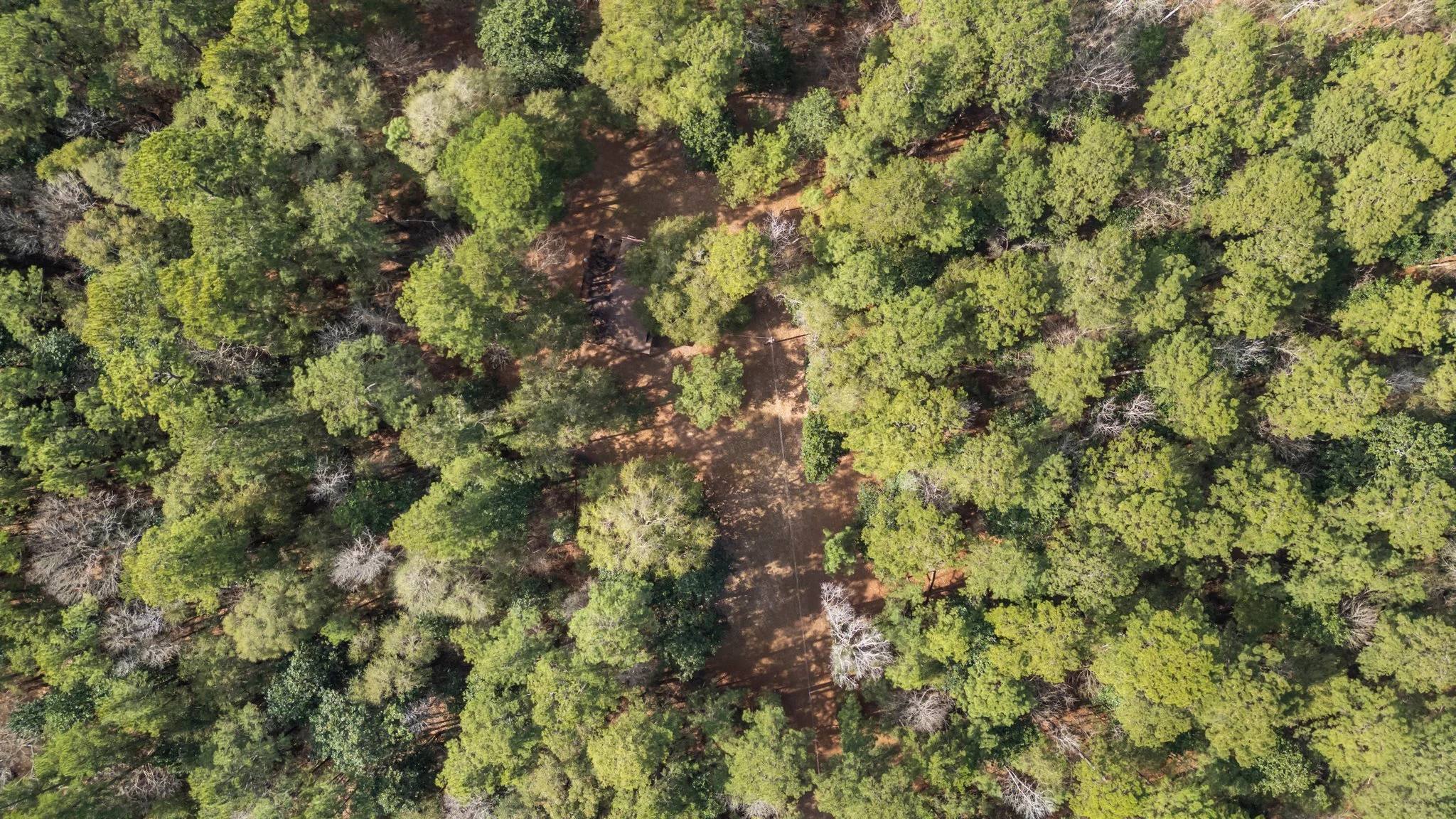 9-web-or-mls-DJI_0632.jpg
