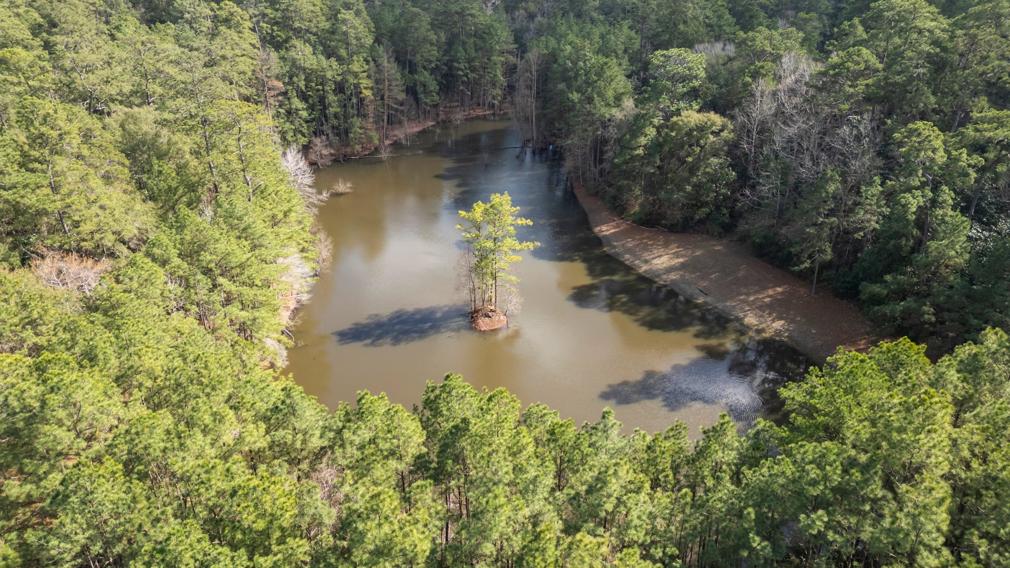 10-web-or-mls-DJI_0637.jpg