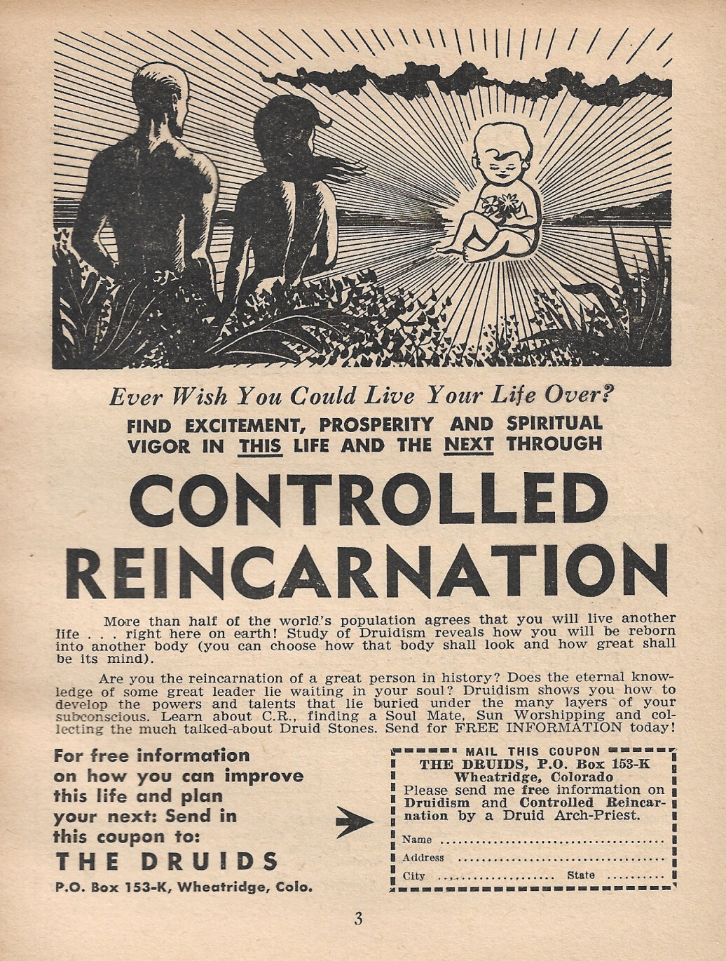 controlled-reincarnation.jpeg