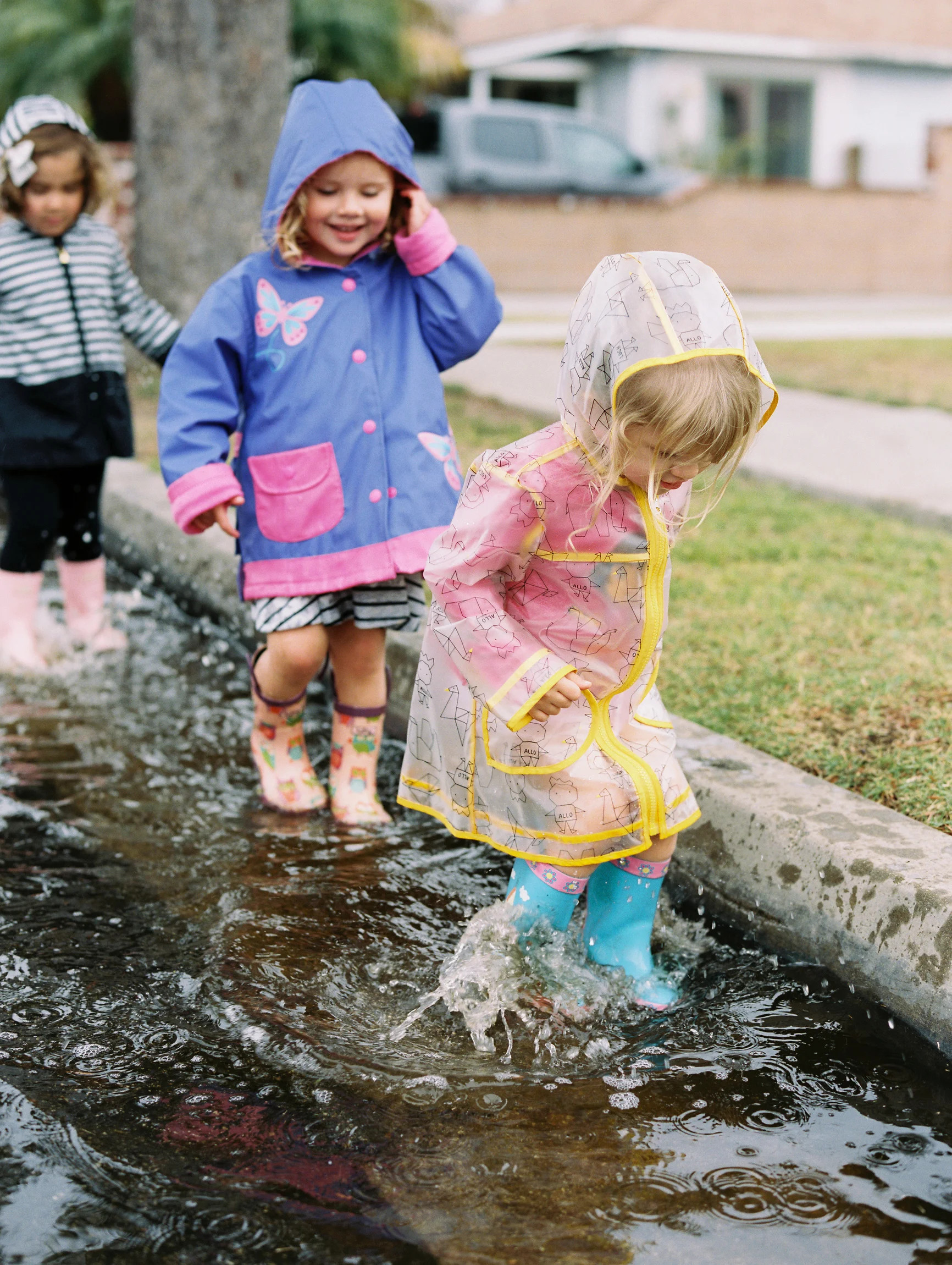 Elisabeth_Millay_Photography_Color_019.jpg