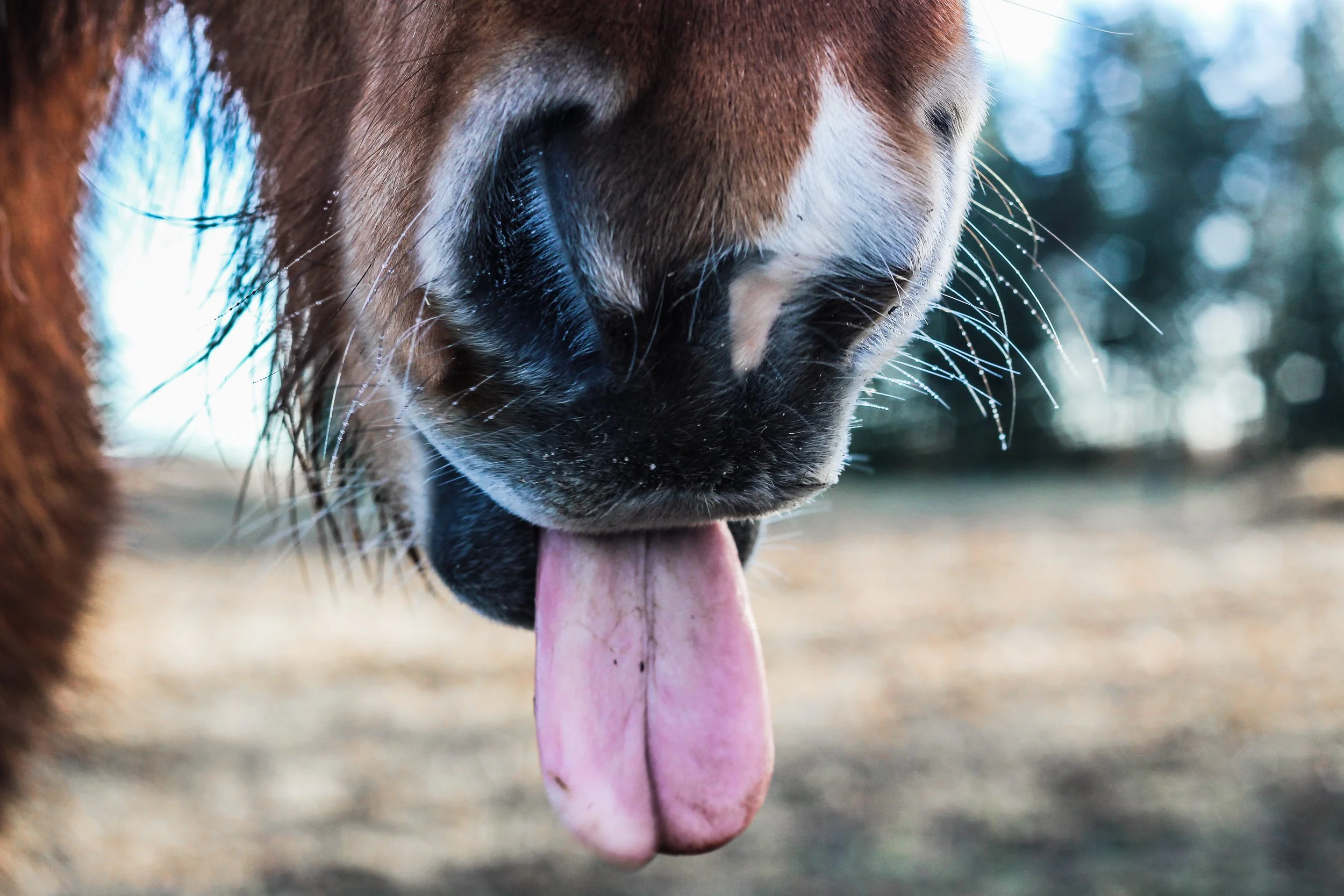 Photo by Mona Eendra on Unsplash