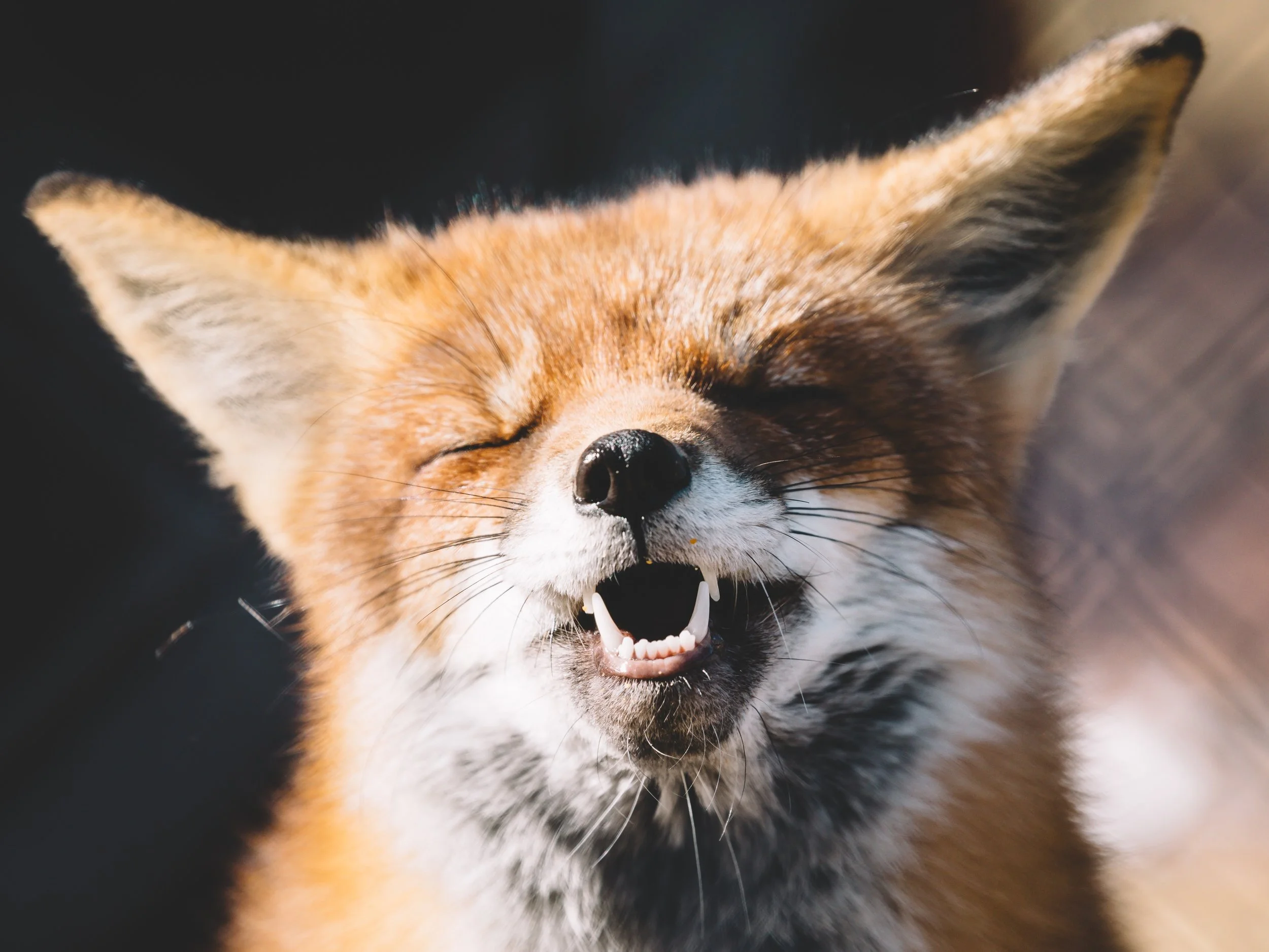 Photo by Peter Lloyd on Unsplash