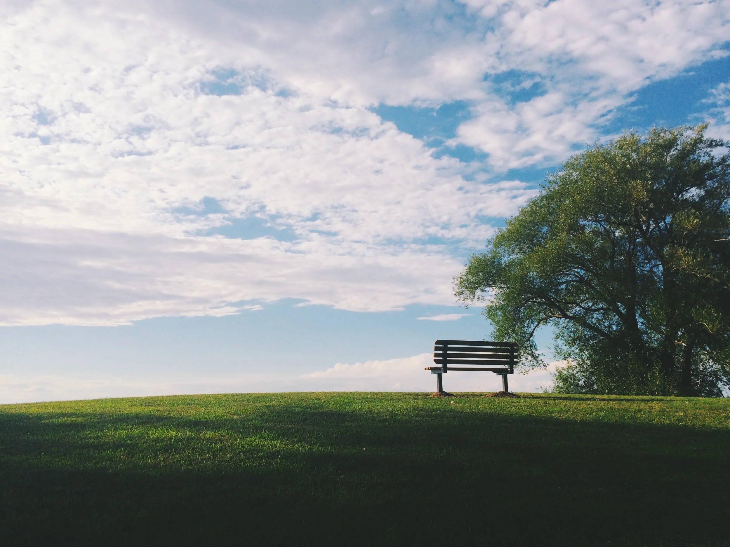 Photo by Noah Silliman on Unsplash