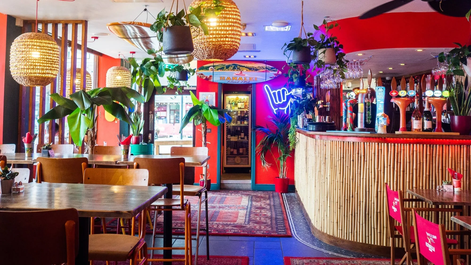 The essential guide to Falmouth — Little Birdie Guides Cornwall