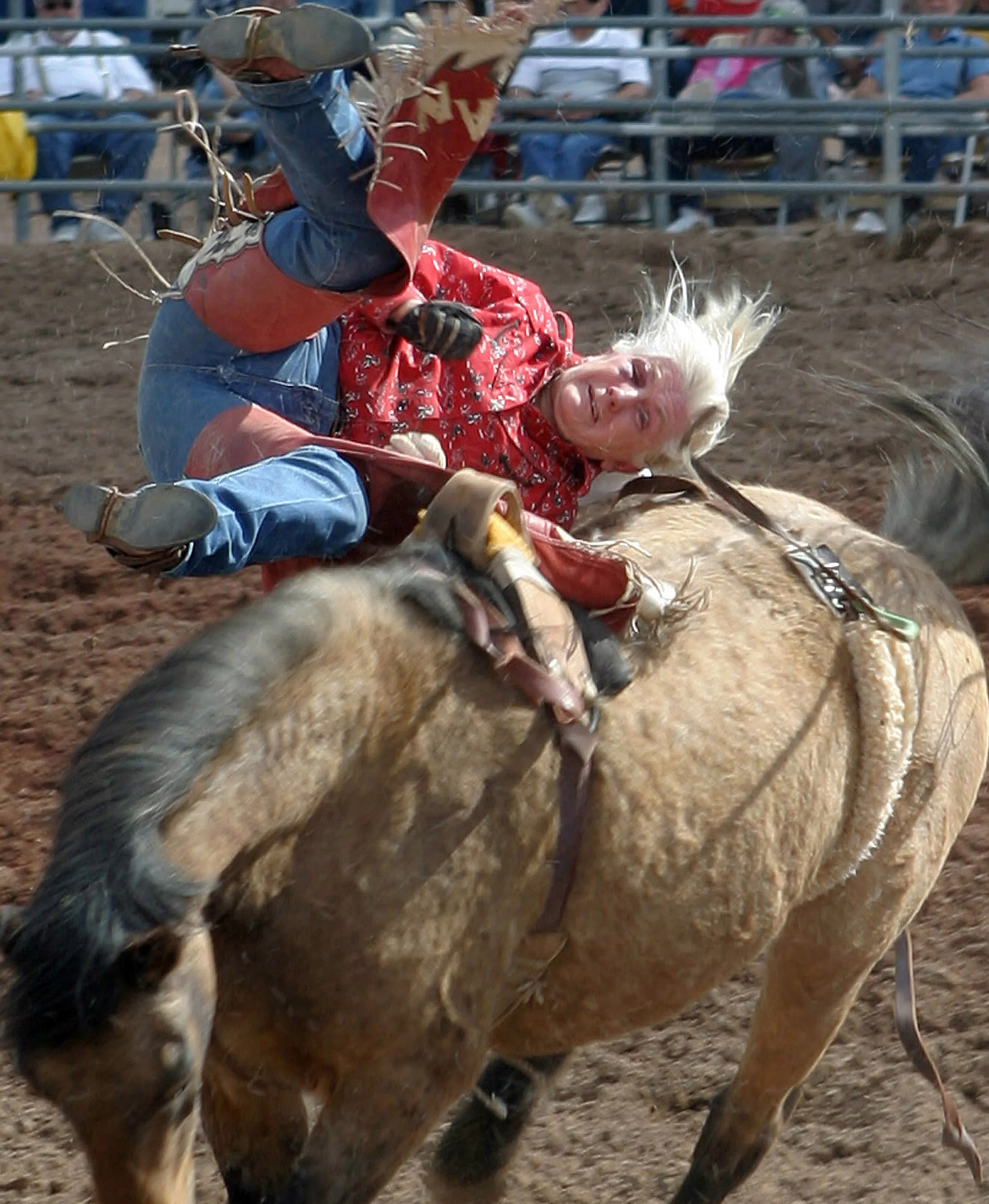 Lisa Olson17.jpg
