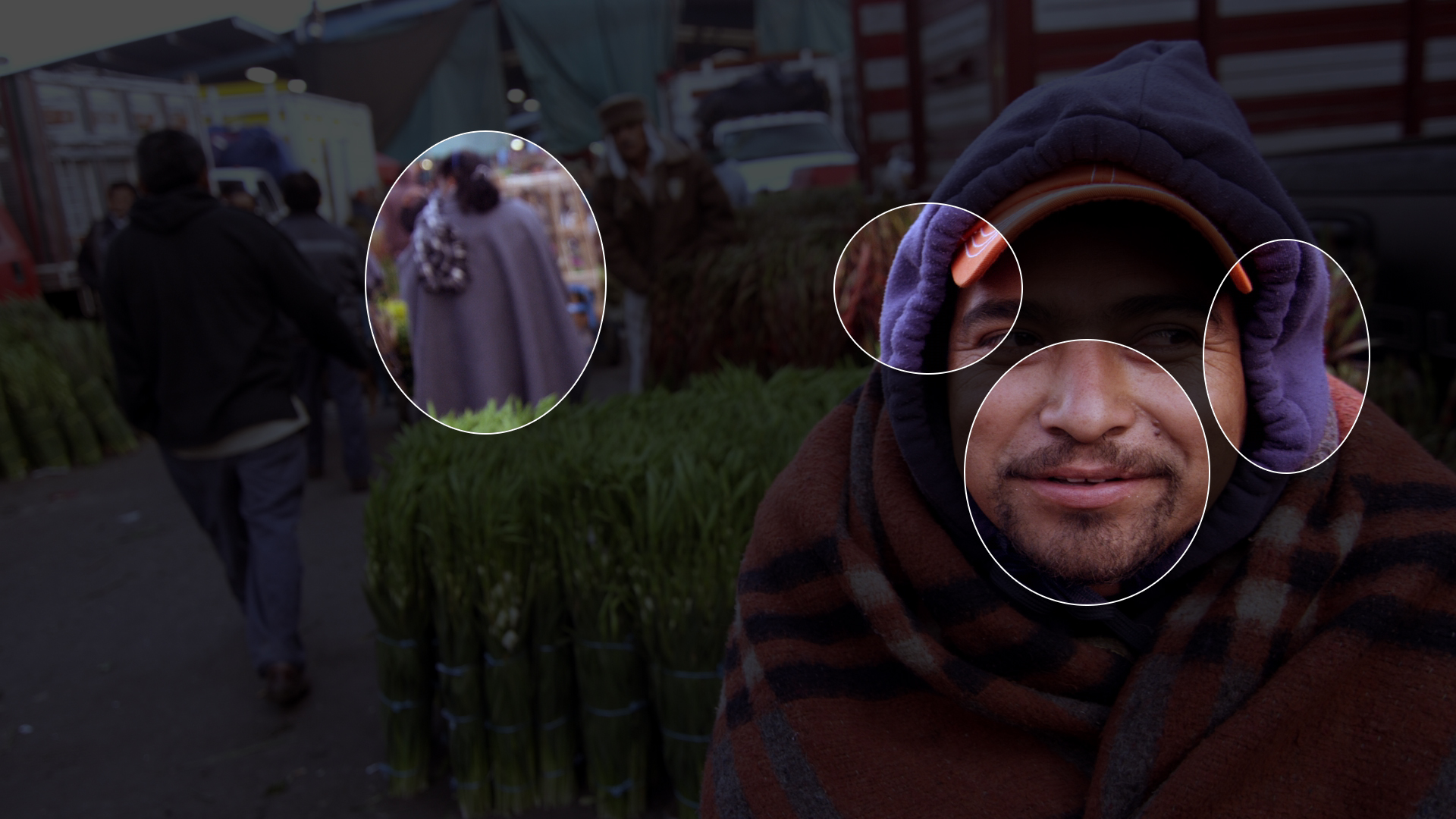 The areas that show visual difference