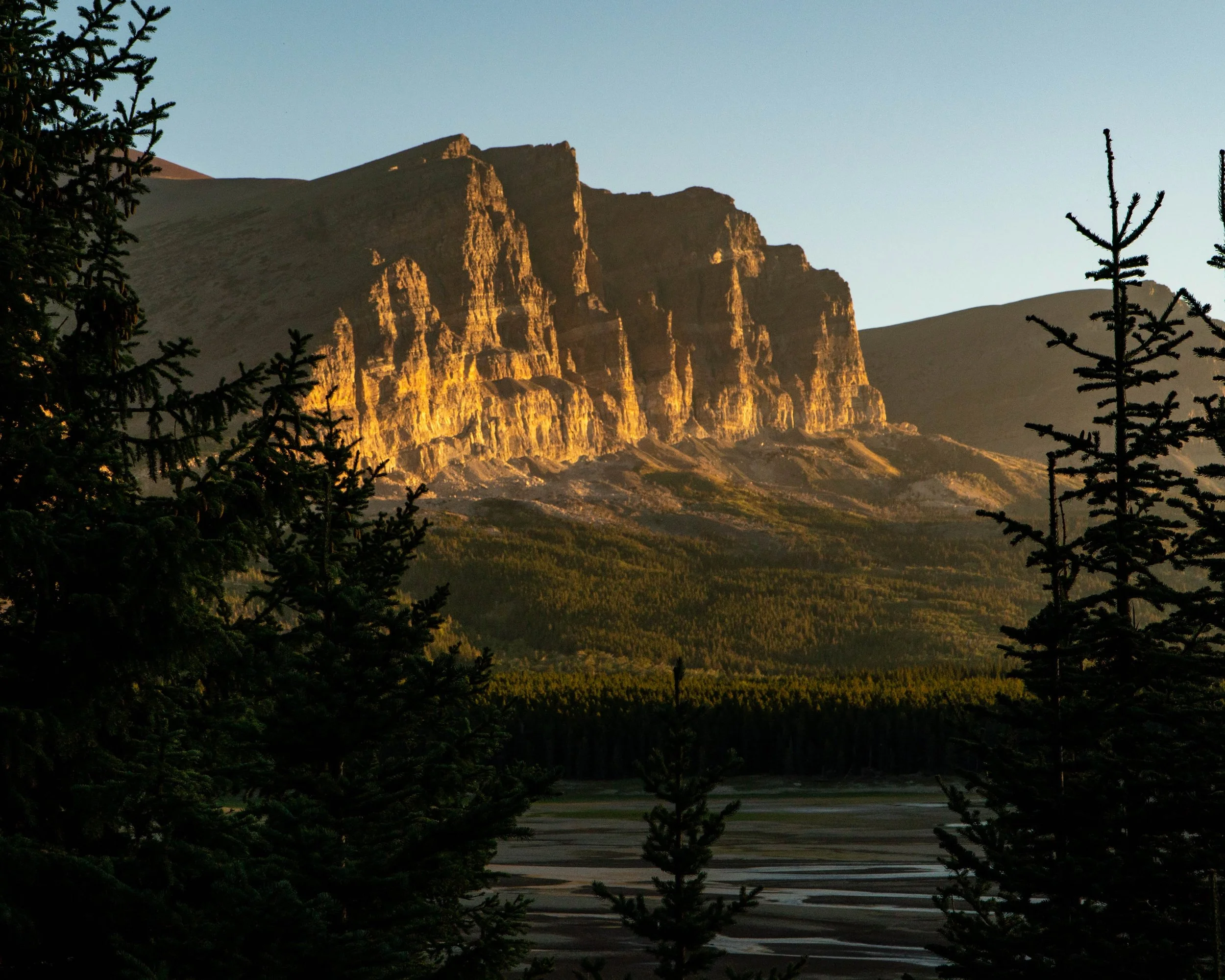 untitled shoot-20220905-02390.jpg