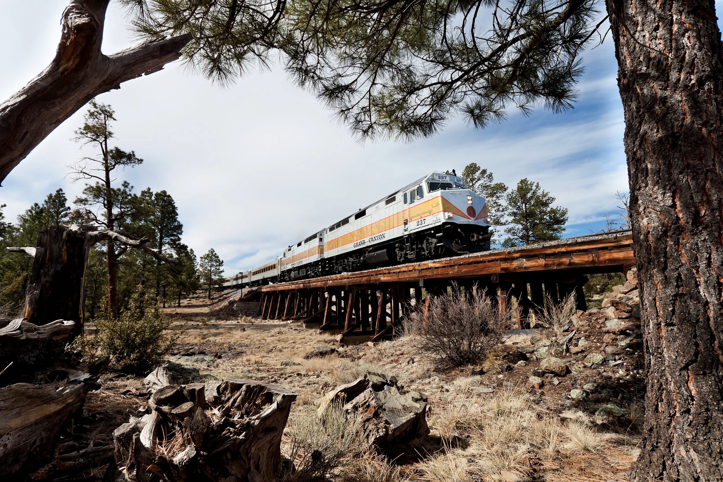 gcr-train-mp-4-bridge (2).jpg