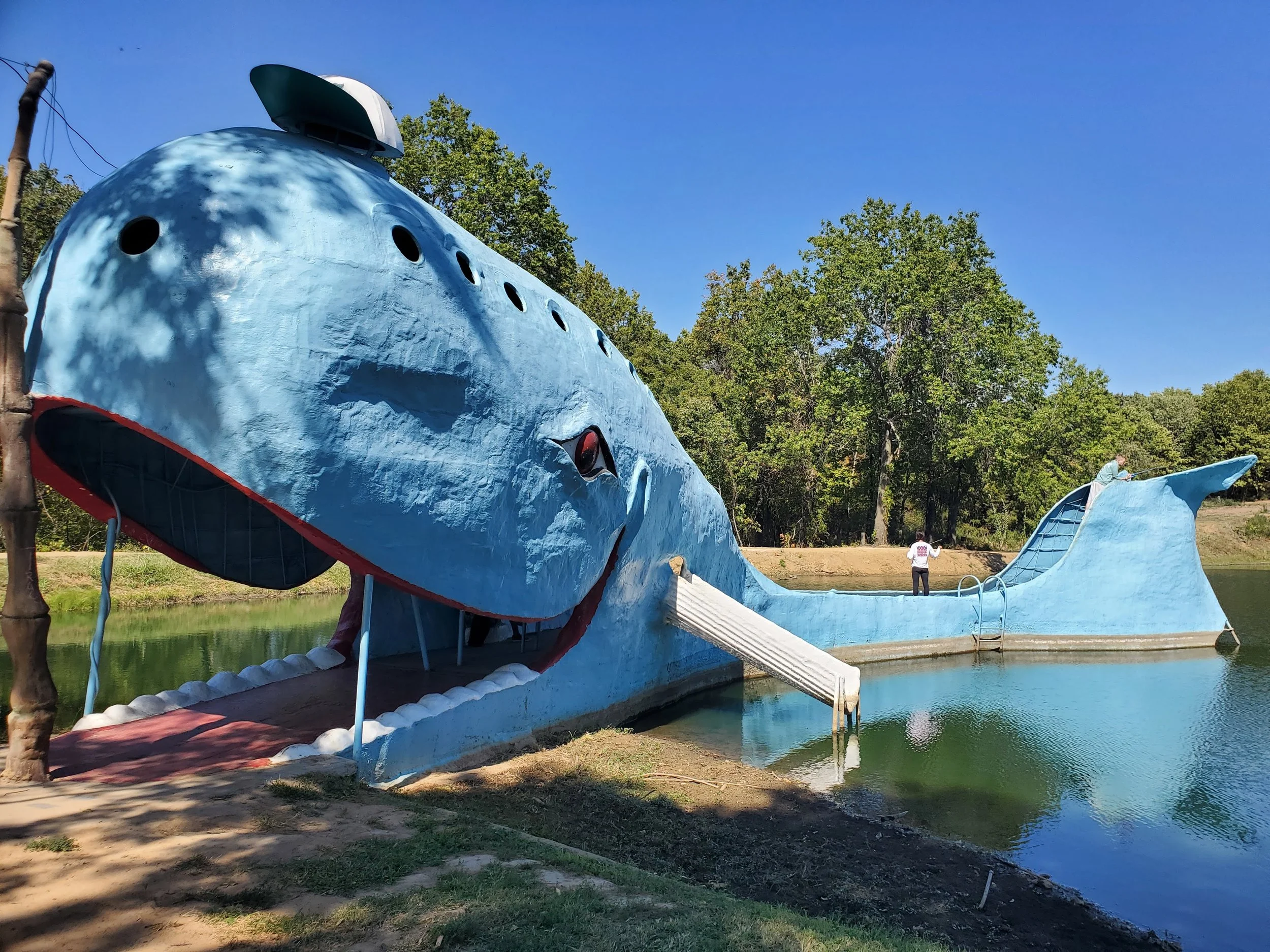 20220929_125015.jpg