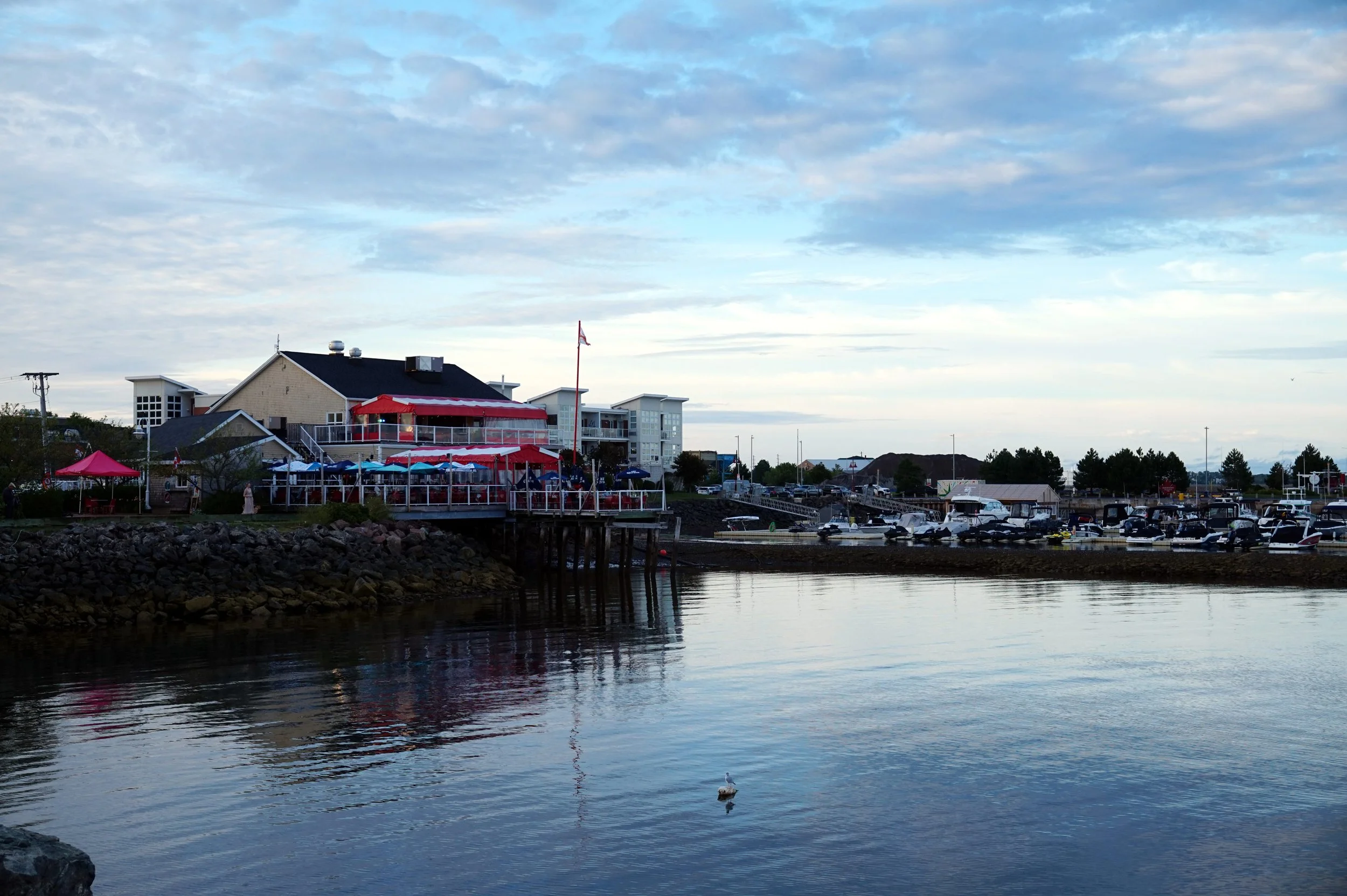DSC00572_v1.JPG