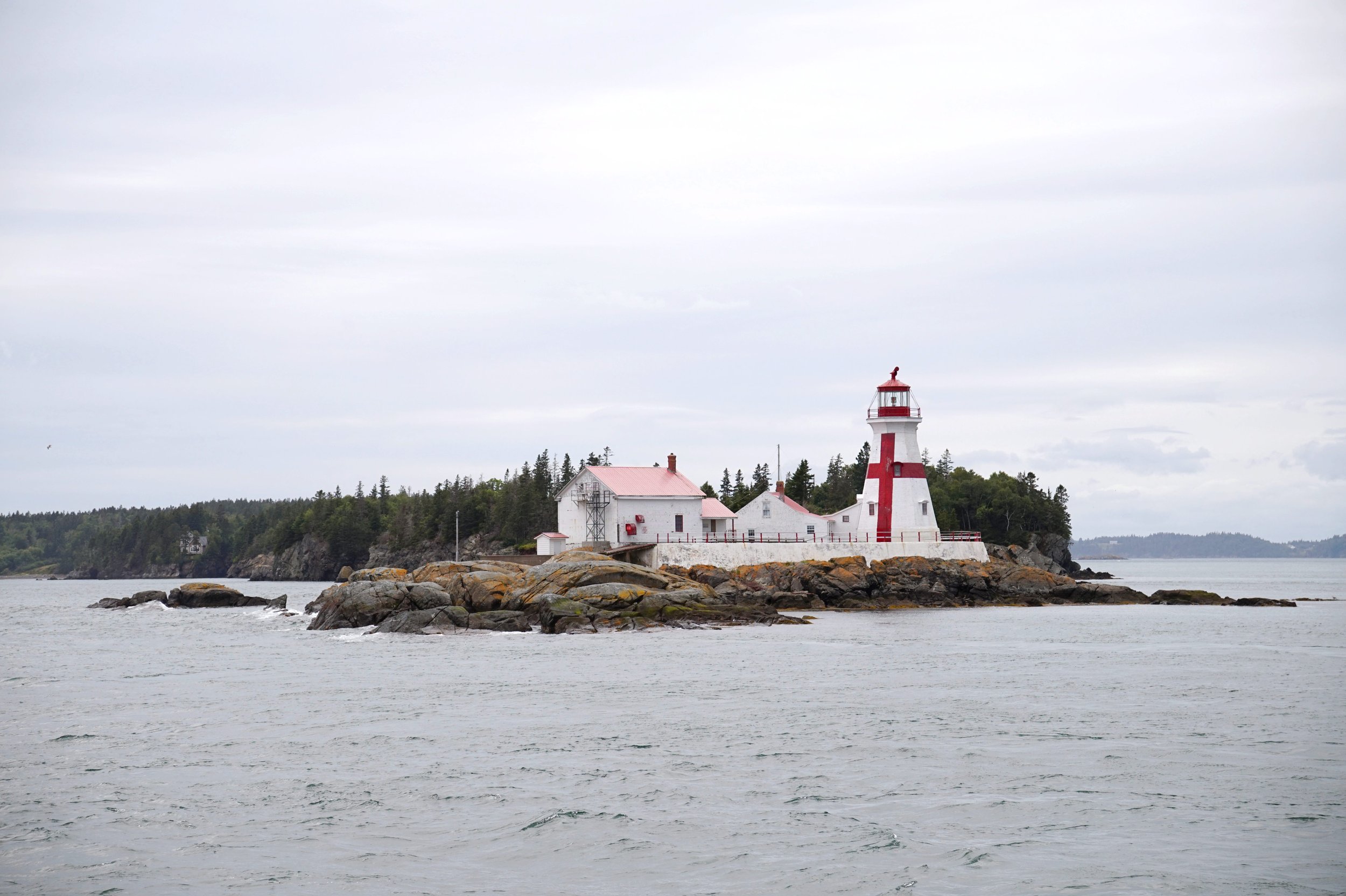 DSC01112_v1.JPG