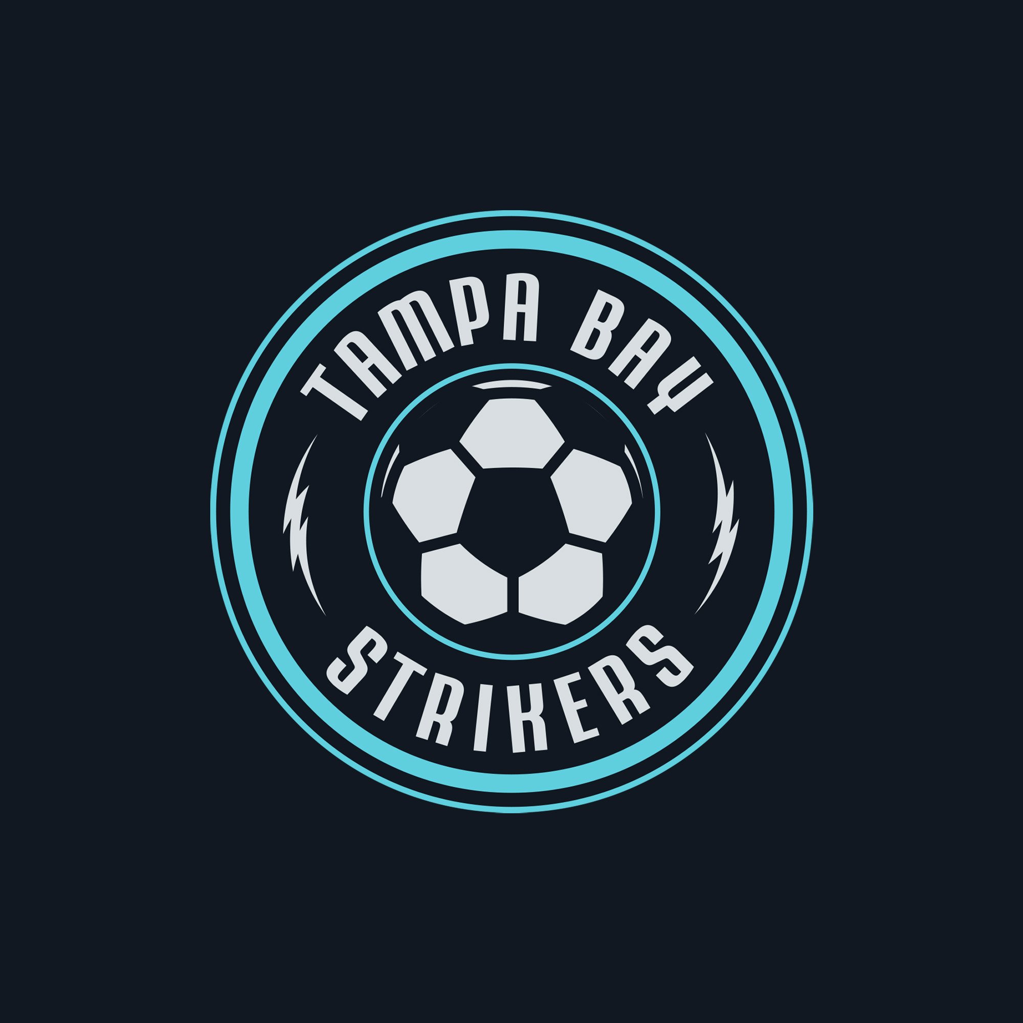 Donald Bunney Graphic Design - Tampa Bay Strikers Logo - The Purpose Process (Copy)