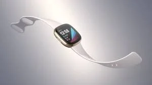 The "Fit" In Fitbit