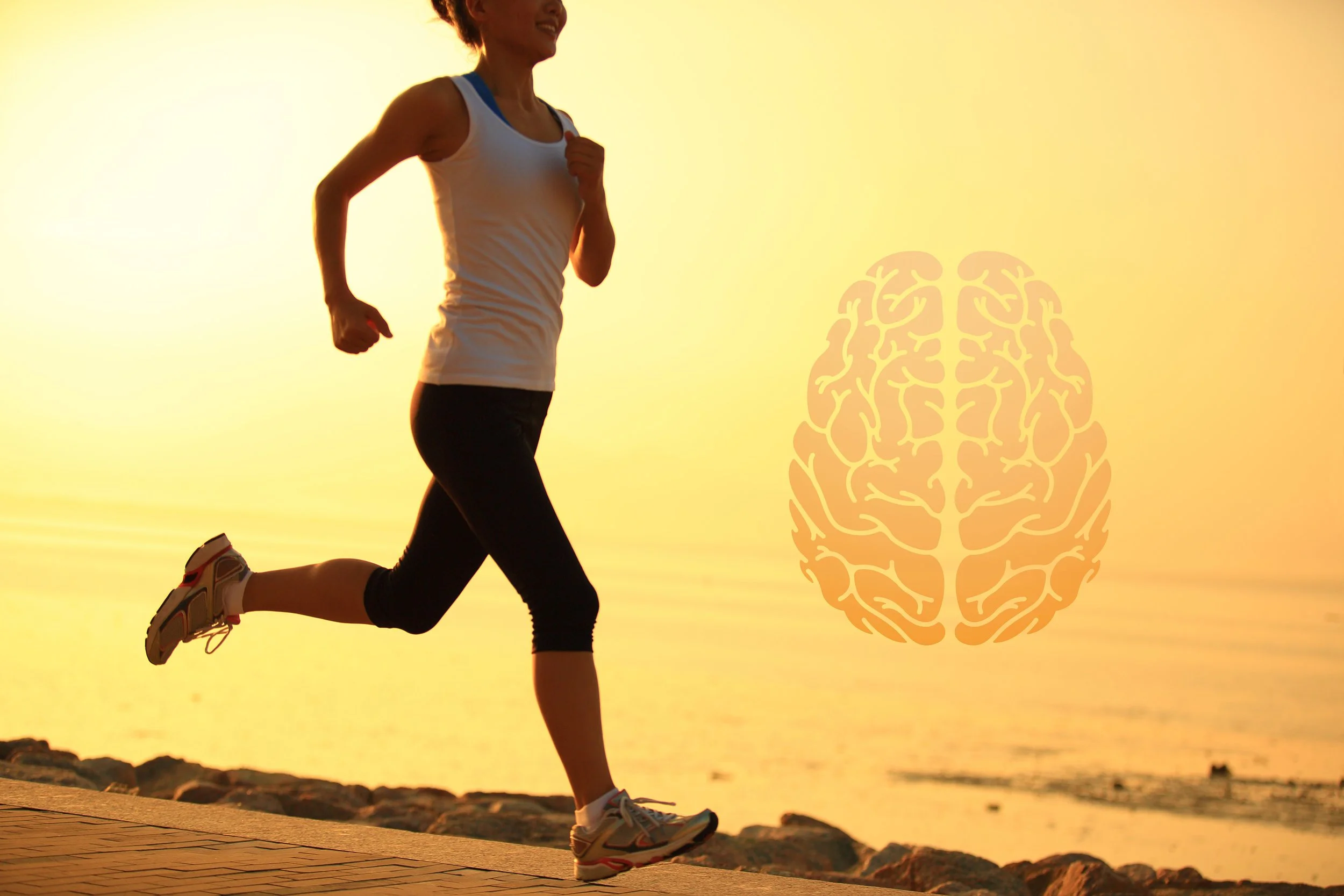 Fitness for your Brain